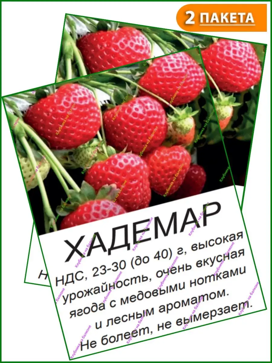 Хадемар двойной Клубника на балконе 156596728 купить в интернет-магазине  Wildberries