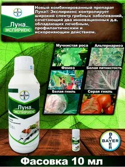 Фунгицид Луна Экспириенс Bayer 156604557 купить за 231 ₽ в интернет-магазине Wildberries