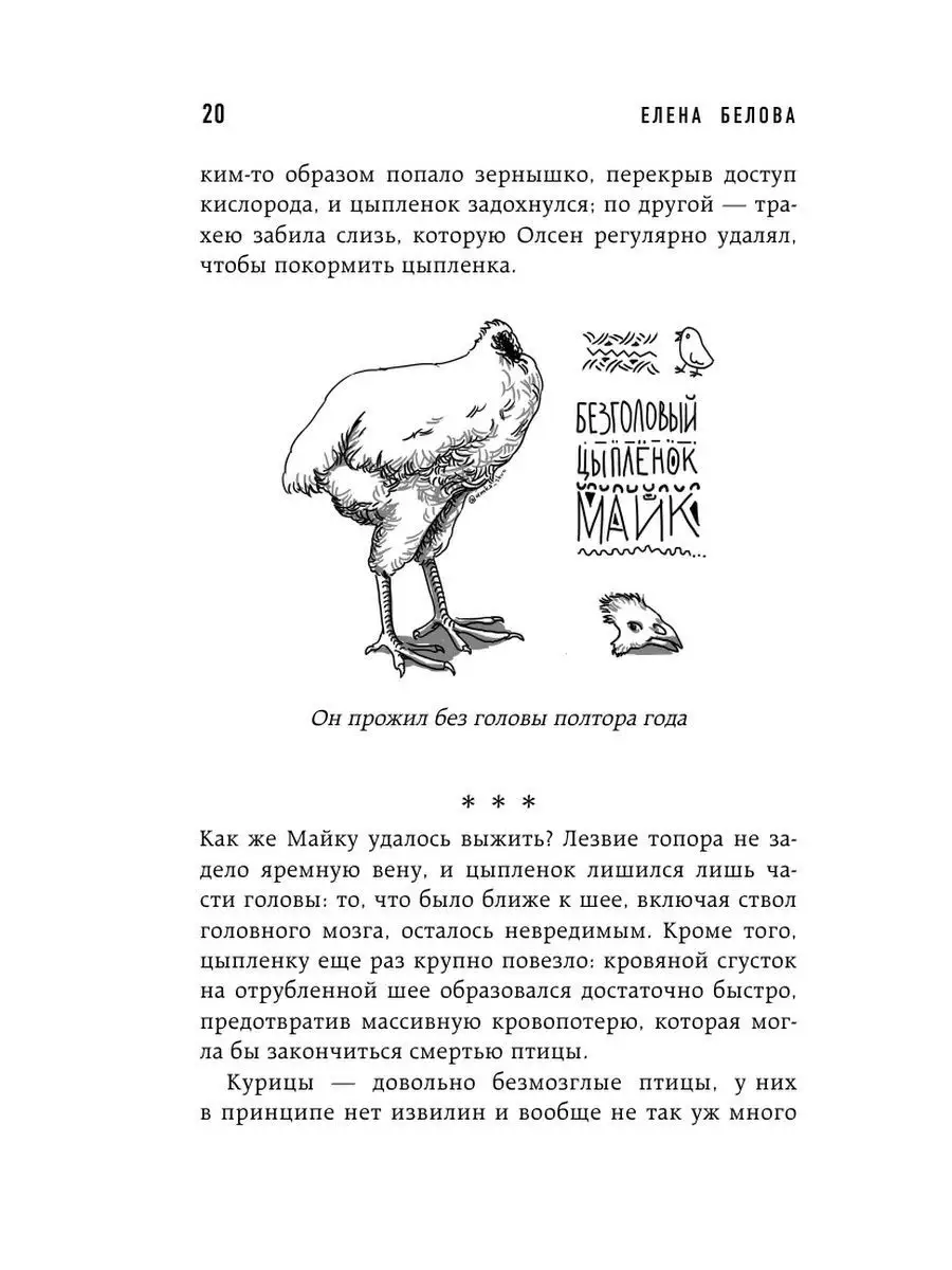 Автостопом по мозгу. Когда вся вселенная у тебя в голове Эксмо 156616121  купить за 658 ₽ в интернет-магазине Wildberries