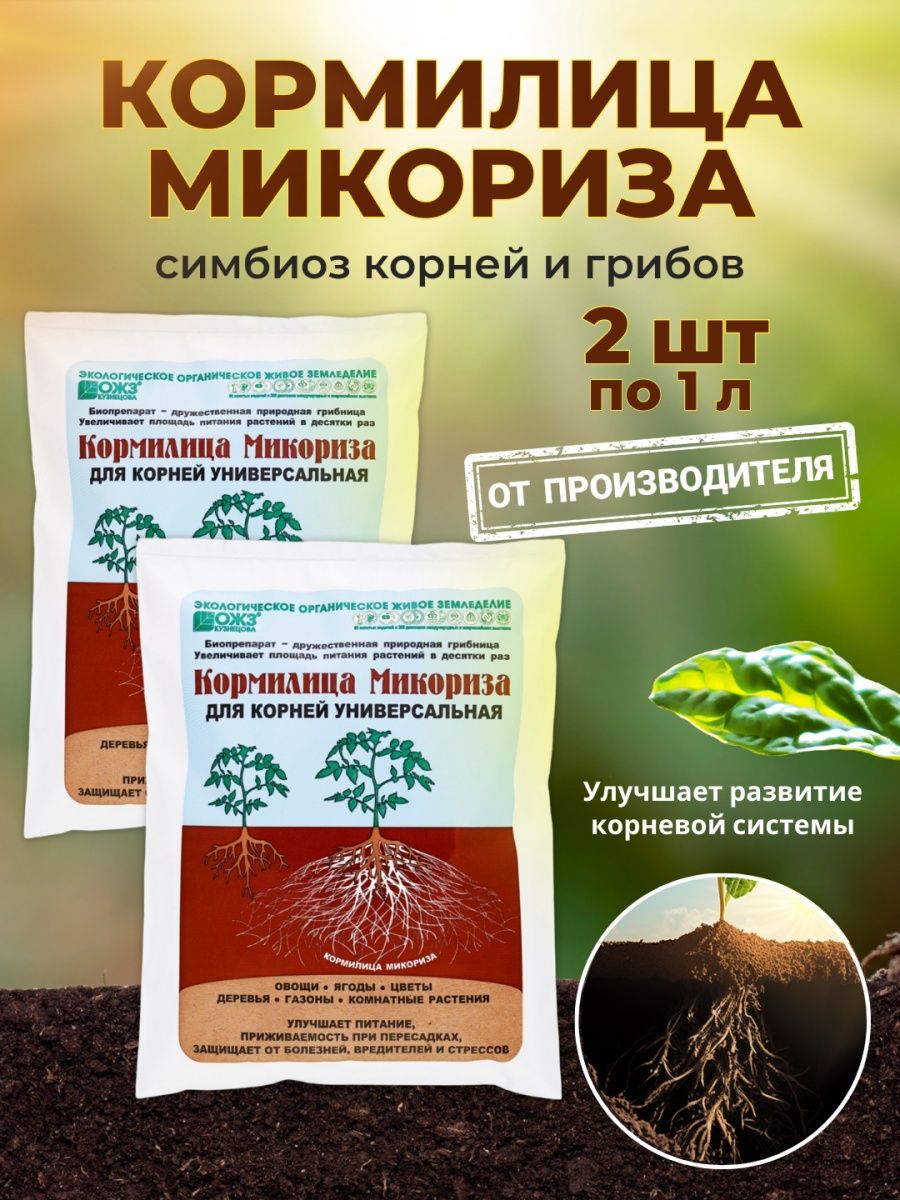 Микориза удобрение. Микориза для рассады.