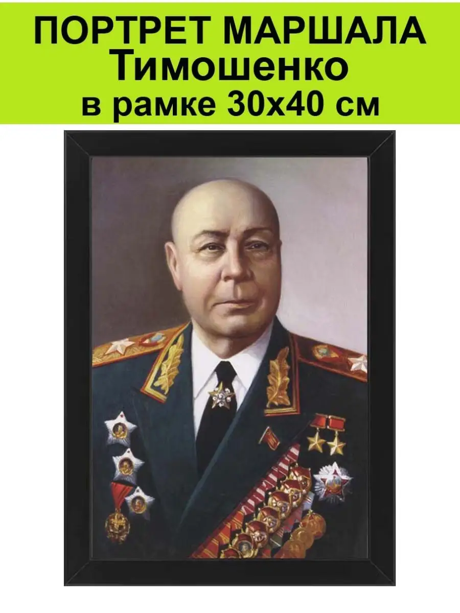 Портрет маршал СССР Тимошенко в рамке 30х40 см СССР 156652063 купить за 1  488 ₽ в интернет-магазине Wildberries