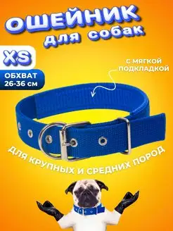 Ошейник для собак мелких пород кошек брезентовый CLAWS&PAWS 156655688 купить за 136 ₽ в интернет-магазине Wildberries