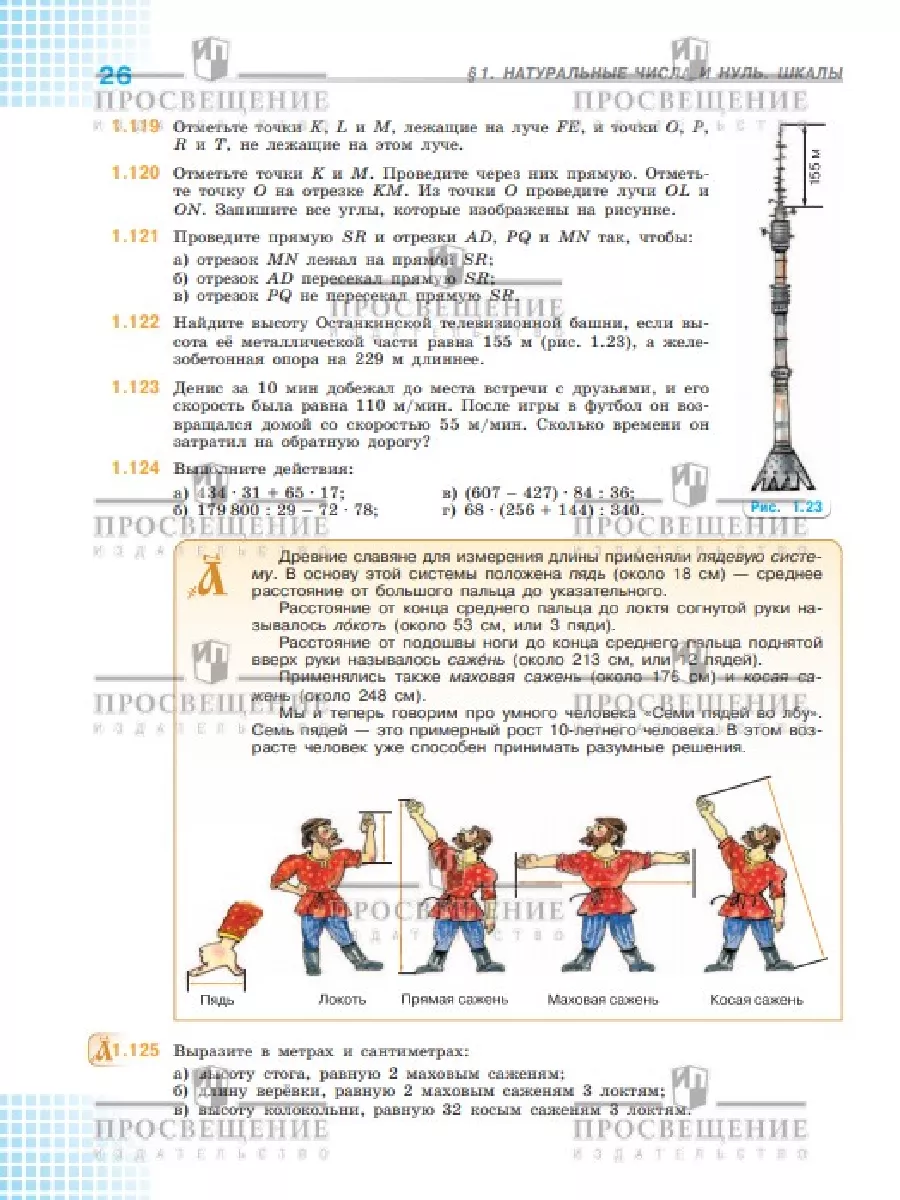 Математика. 5 класс. Учебник. Часть 1. ФГОС Просвещение 156660867 купить за  803 ₽ в интернет-магазине Wildberries