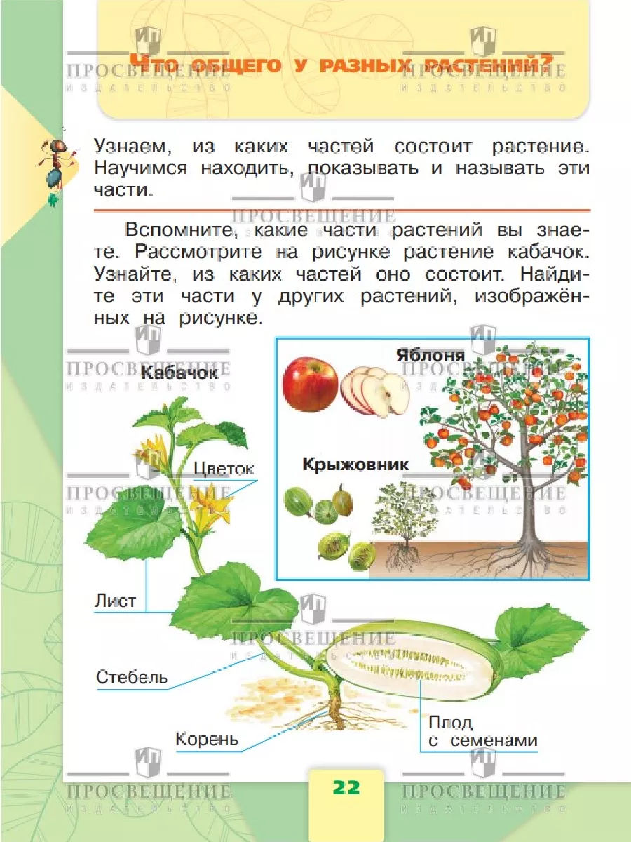 Окружающий мир 1 класс Учебник Часть 1 ФГОС Плешаков Просвещение 156660906  купить за 710 ₽ в интернет-магазине Wildberries