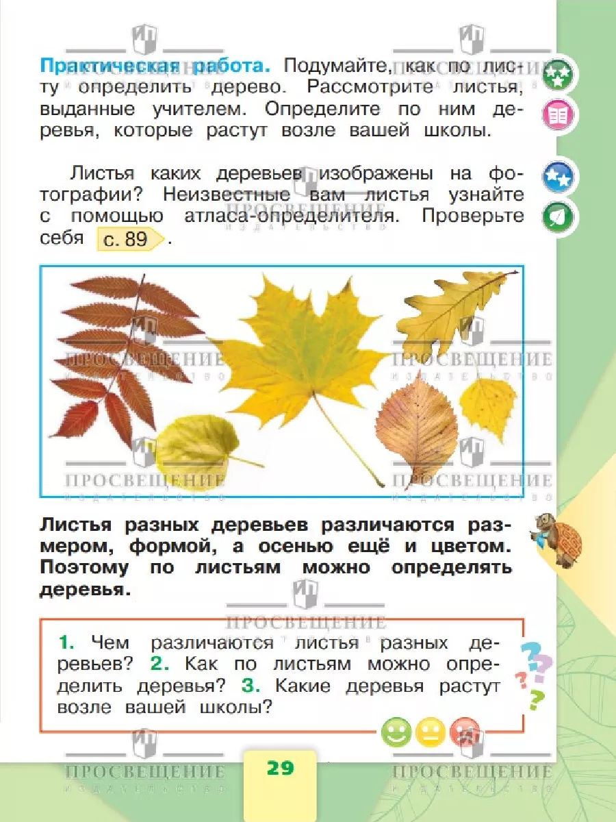 Окружающий мир 1 класс Учебник Часть 1 ФГОС Плешаков Просвещение 156660906  купить за 710 ₽ в интернет-магазине Wildberries