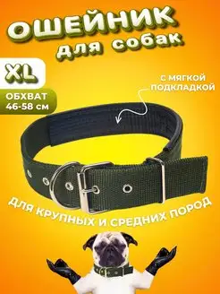 Ошейник для собак крупных и средних пород CLAWS&PAWS 156675402 купить за 153 ₽ в интернет-магазине Wildberries