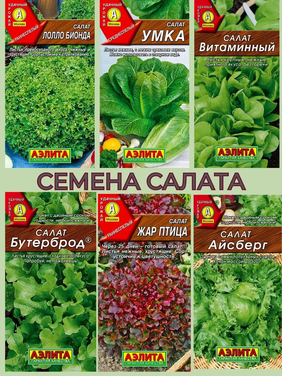 Семена салата Агрофирма Аэлита 156710607 купить за 261 ₽ в  интернет-магазине Wildberries