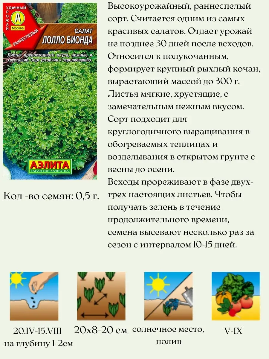 Семена салата Агрофирма Аэлита 156710607 купить за 261 ₽ в  интернет-магазине Wildberries