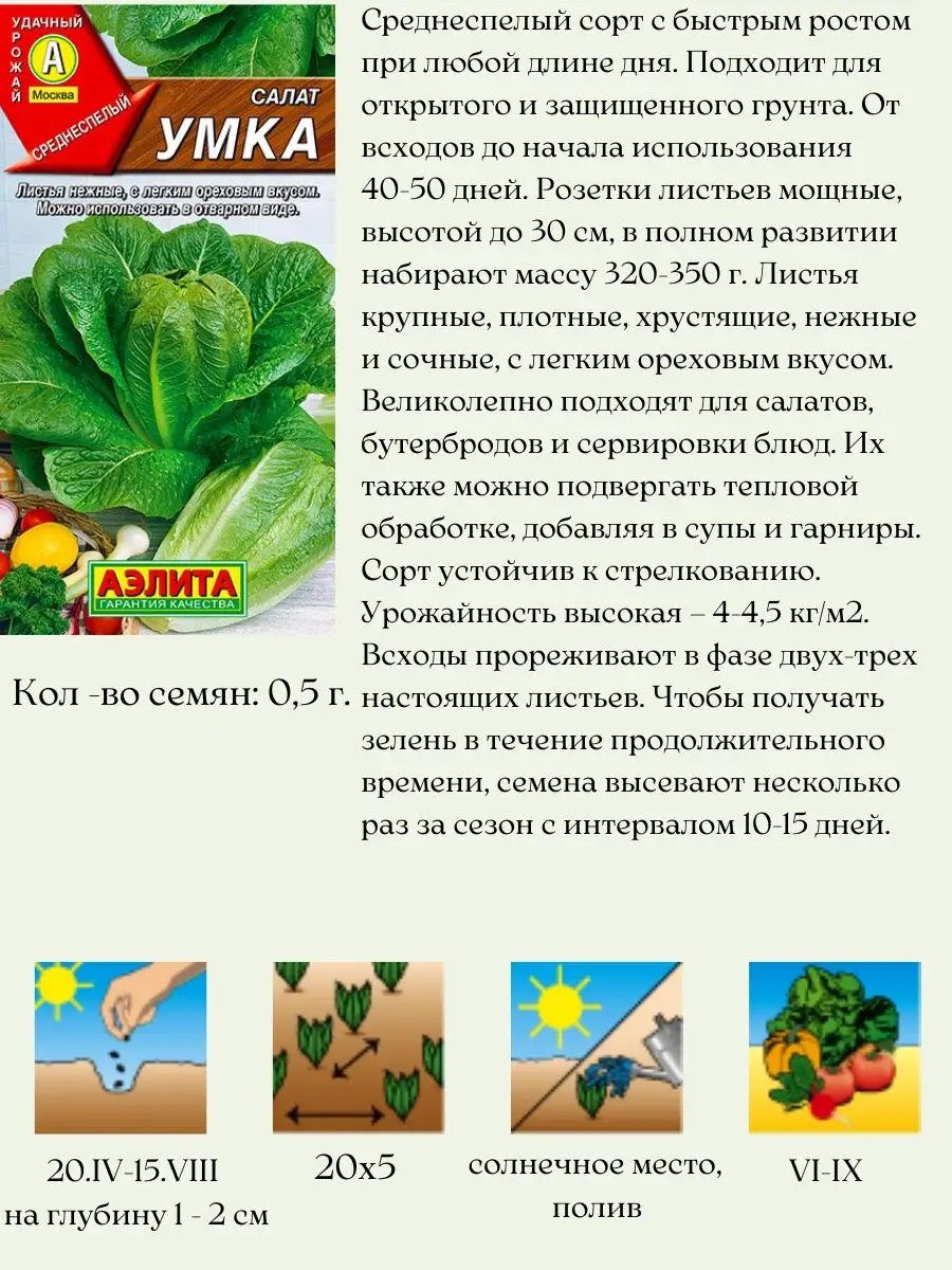 Семена салата Агрофирма Аэлита 156710607 купить за 261 ₽ в  интернет-магазине Wildberries