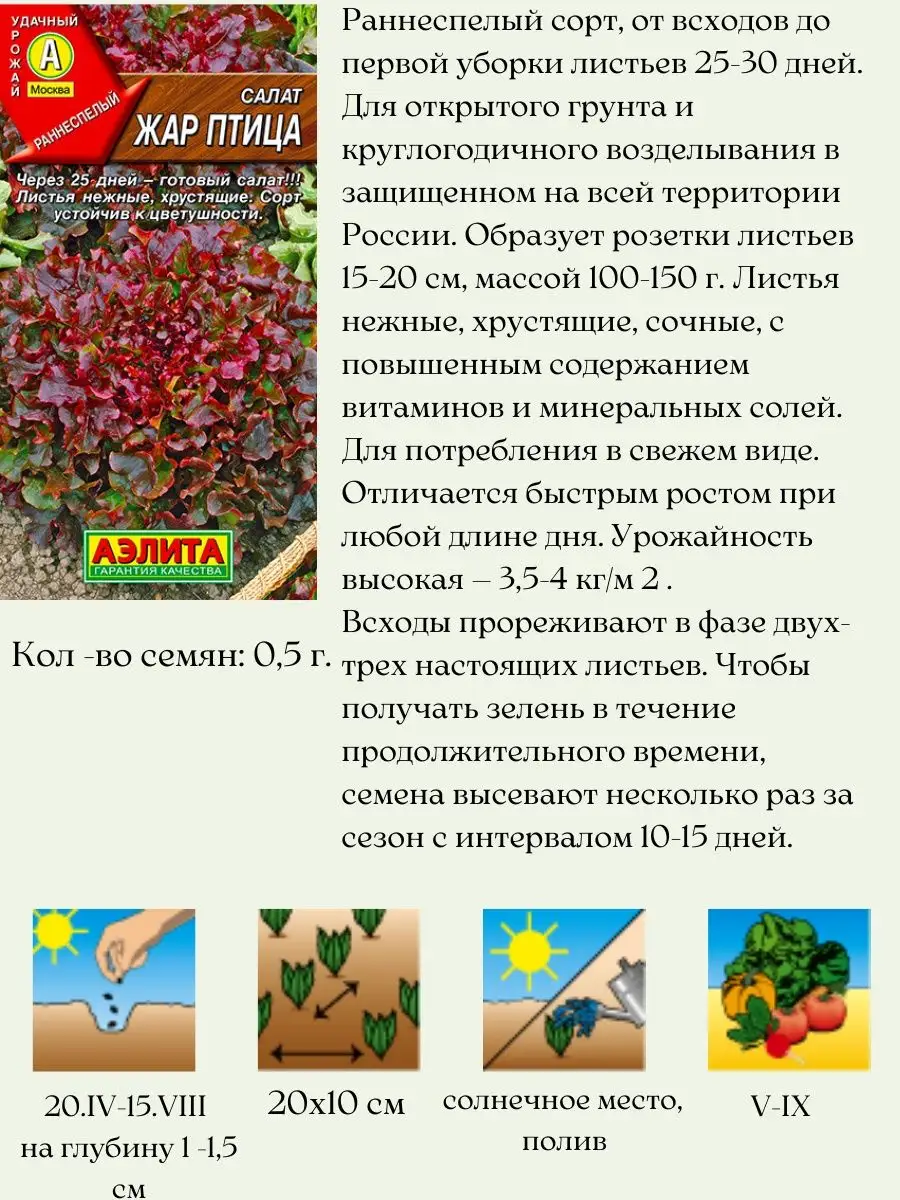 Семена салата Агрофирма Аэлита 156710607 купить за 261 ₽ в  интернет-магазине Wildberries