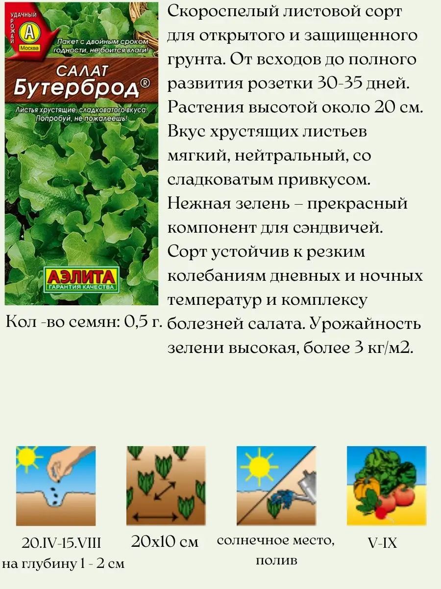 Семена салата Агрофирма Аэлита 156710607 купить за 261 ₽ в  интернет-магазине Wildberries