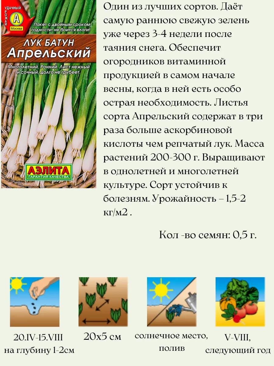 Лук семена Агрофирма Аэлита 156720334 купить за 171 ₽ в интернет-магазине  Wildberries