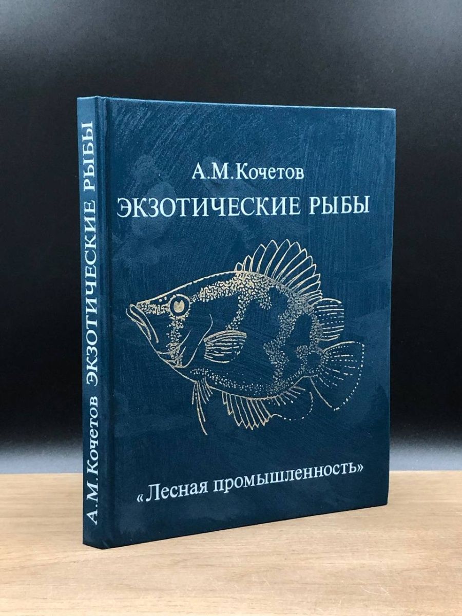 Чудо-юдо рыба-секс. 12 сексуальных глупостей, в которые искренне верили наши предки