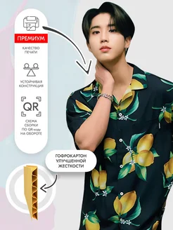 Хан Джисон (Хан) (Stray Kids) ростовая фигура Indoor-ad 156776259