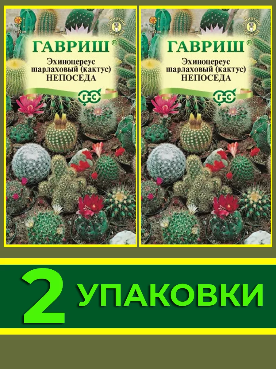 Семена кактусов комнатных Экзотические виды 156948405 купить за 194 ₽ в  интернет-магазине Wildberries