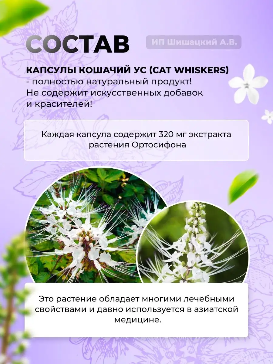 Тайское лекарство для почек, от отеков мочегонное Thanyaporn 156993978  купить в интернет-магазине Wildberries