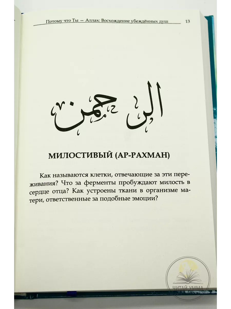 Книга Потому что ты-Аллах 2 часть Восхождение убежденных душ ЧИТАЙ-УММА  156996513 купить за 562 ₽ в интернет-магазине Wildberries