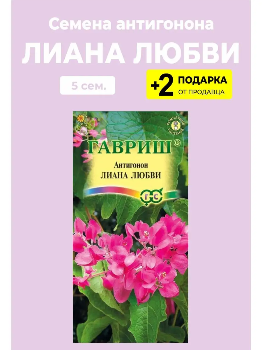 Антигонон Лиана любви розовый Вырасти дома 157185952 купить за 131 ₽ в  интернет-магазине Wildberries