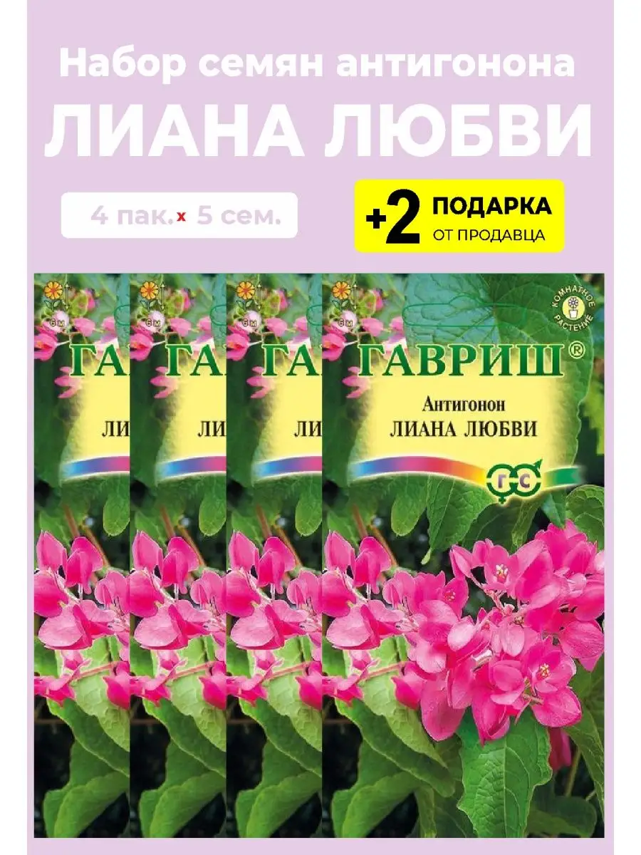 Антигонон Лиана любви розовый Вырасти дома 157185955 купить за 356 ₽ в  интернет-магазине Wildberries