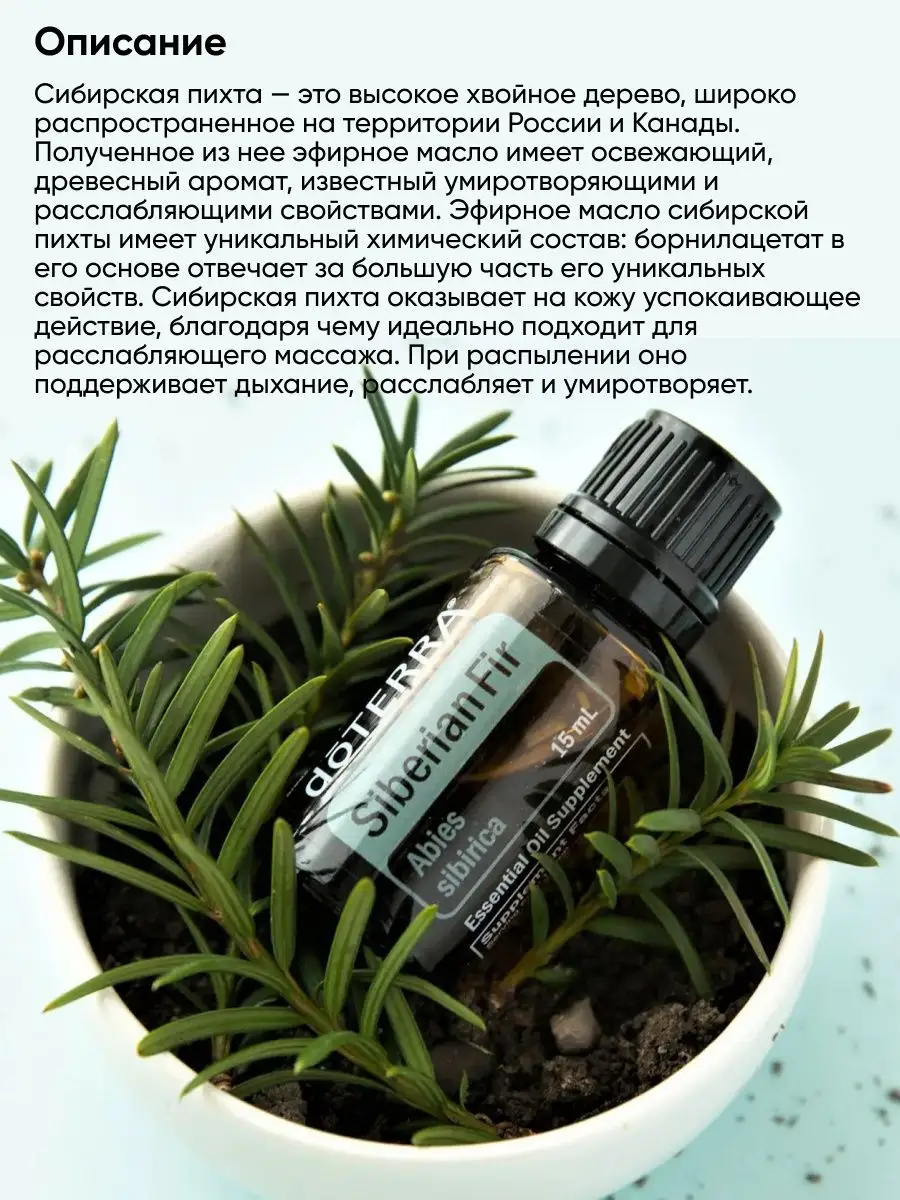 Эфирное масло Сибирская пихта дотерра doTERRA 157273417 купить за 431 ₽ в  интернет-магазине Wildberries