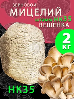 Мицелий вешенки зерновой НК35 - 2 кг поГрибок 157277196 купить за 840 ₽ в интернет-магазине Wildberries