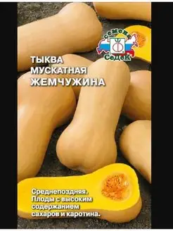 тыква Жемчужина (мускатная) СеДек 157287714 купить за 138 ₽ в интернет-магазине Wildberries