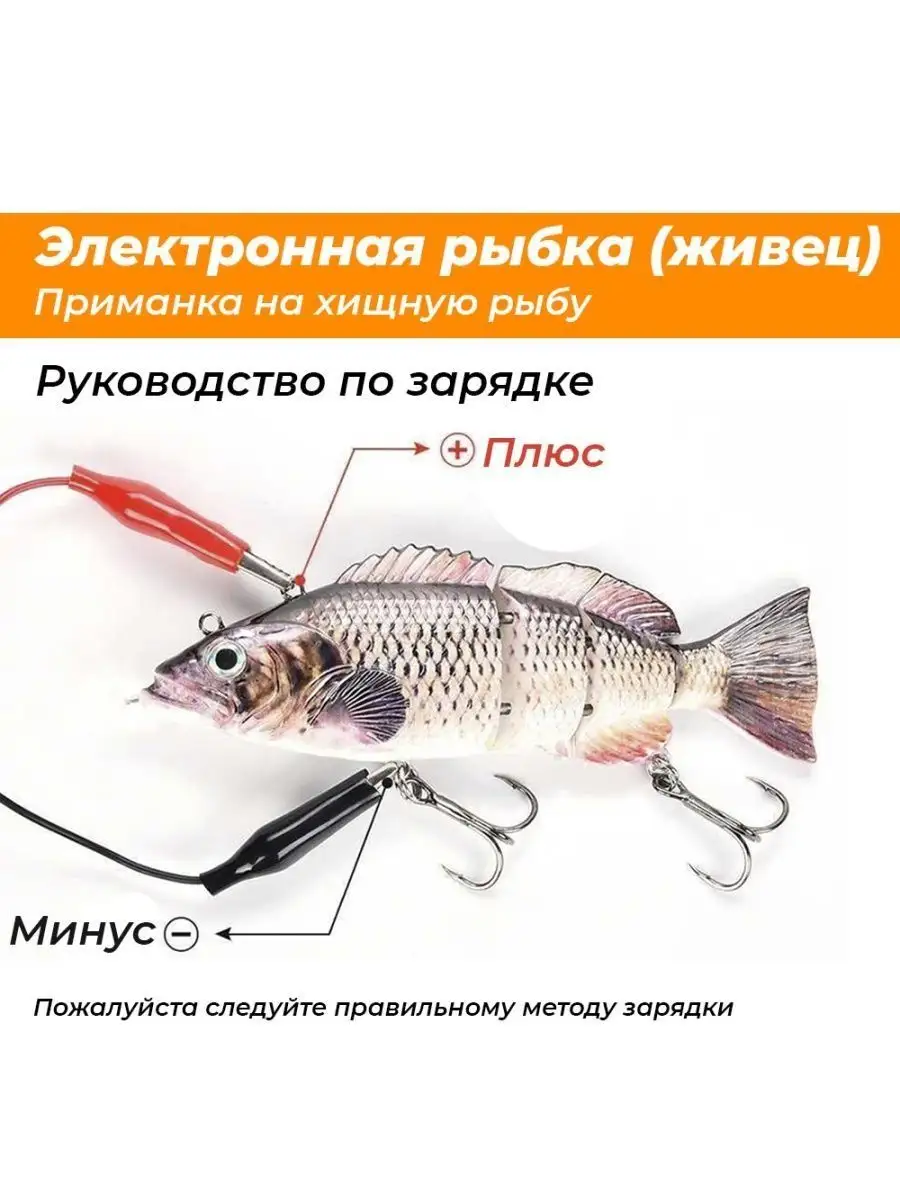 Блог о рыбалке | Fishing Stock