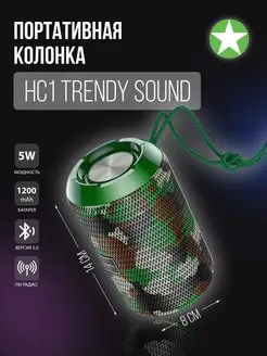 Портативная колонка HC1 Trendy sound Hoco 157328004 купить за 672 ₽ в интернет-магазине Wildberries