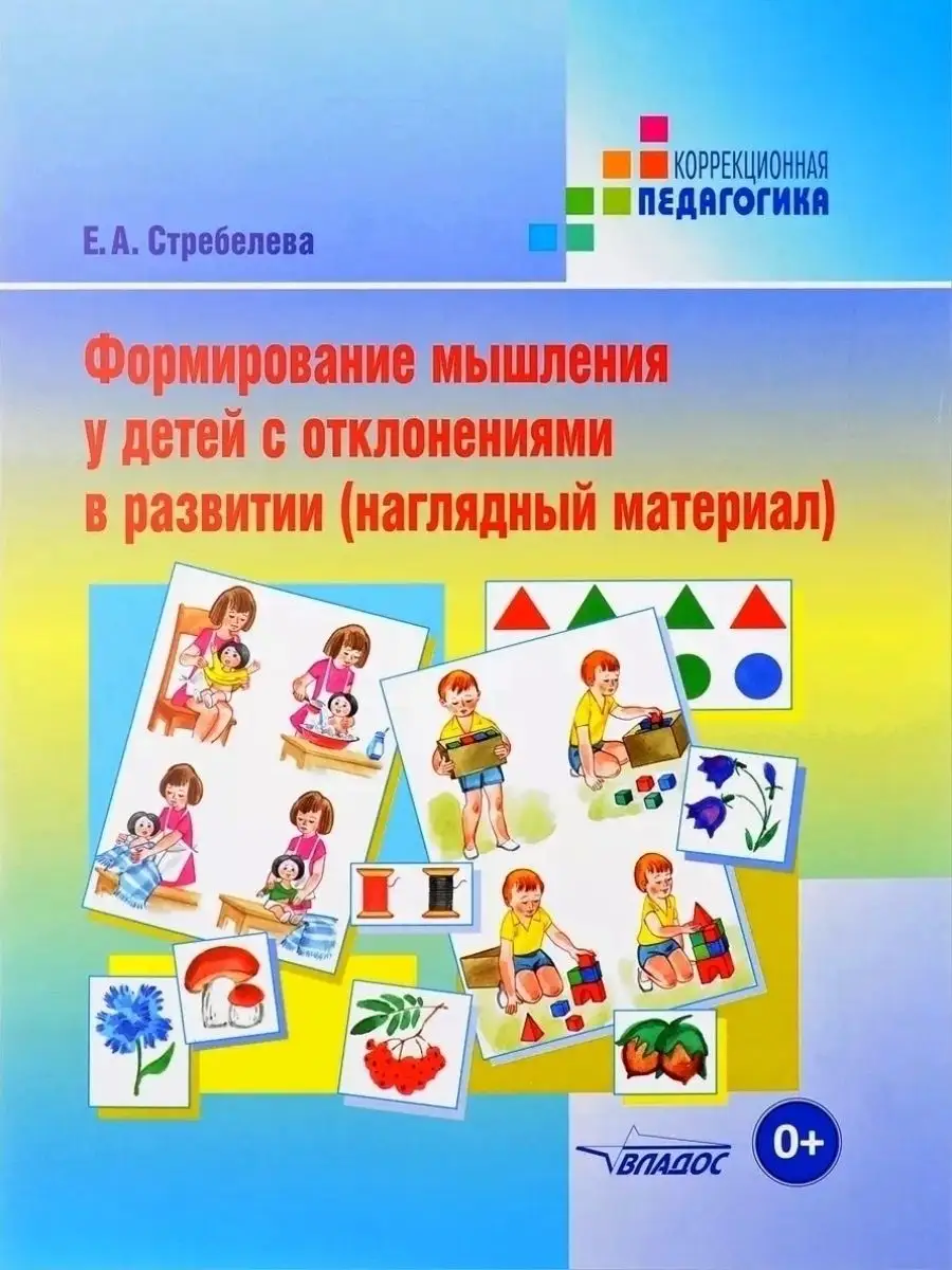 Формирование мышления у детей с отклонениями Наглядный