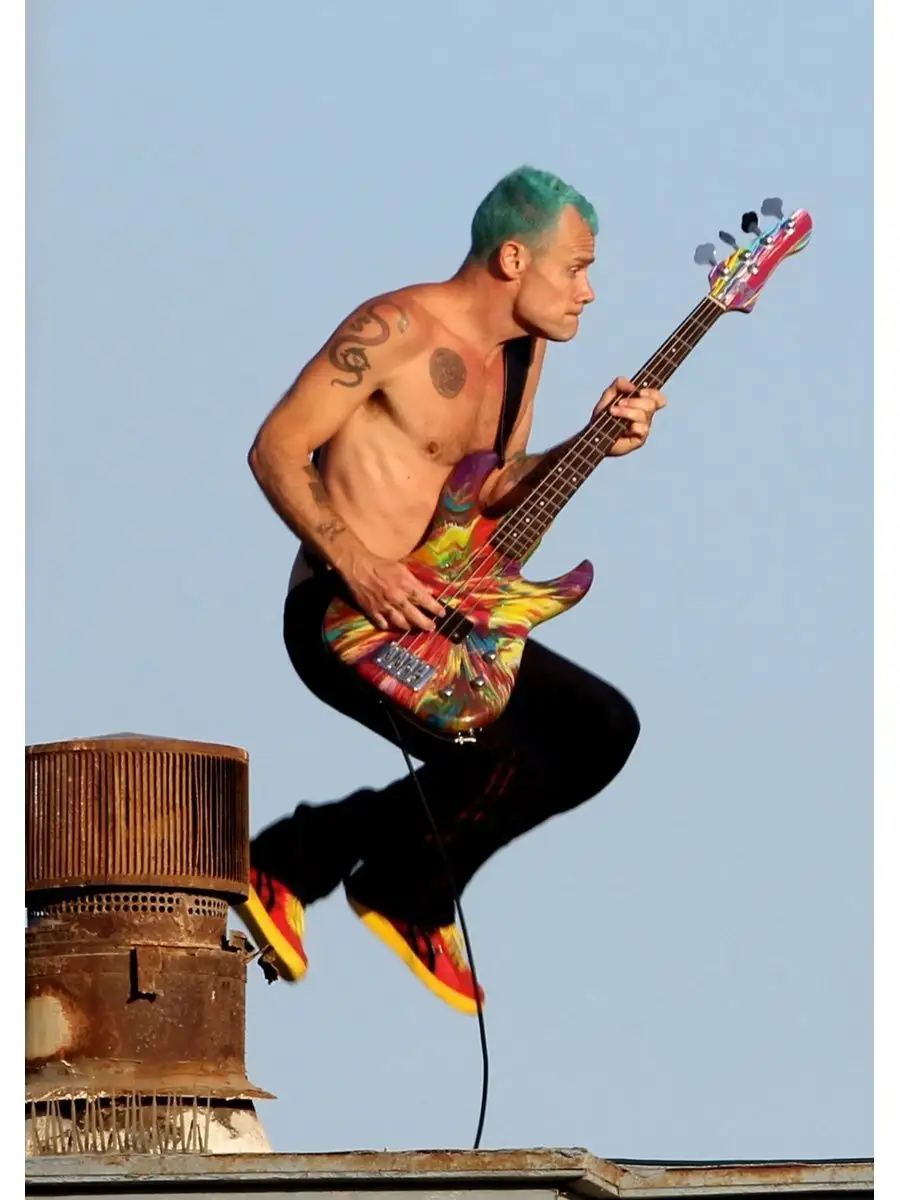 flea autograph - Ilustrasi 2