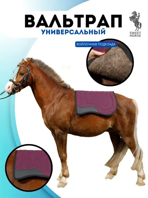 анатомия | Happy Horse Training