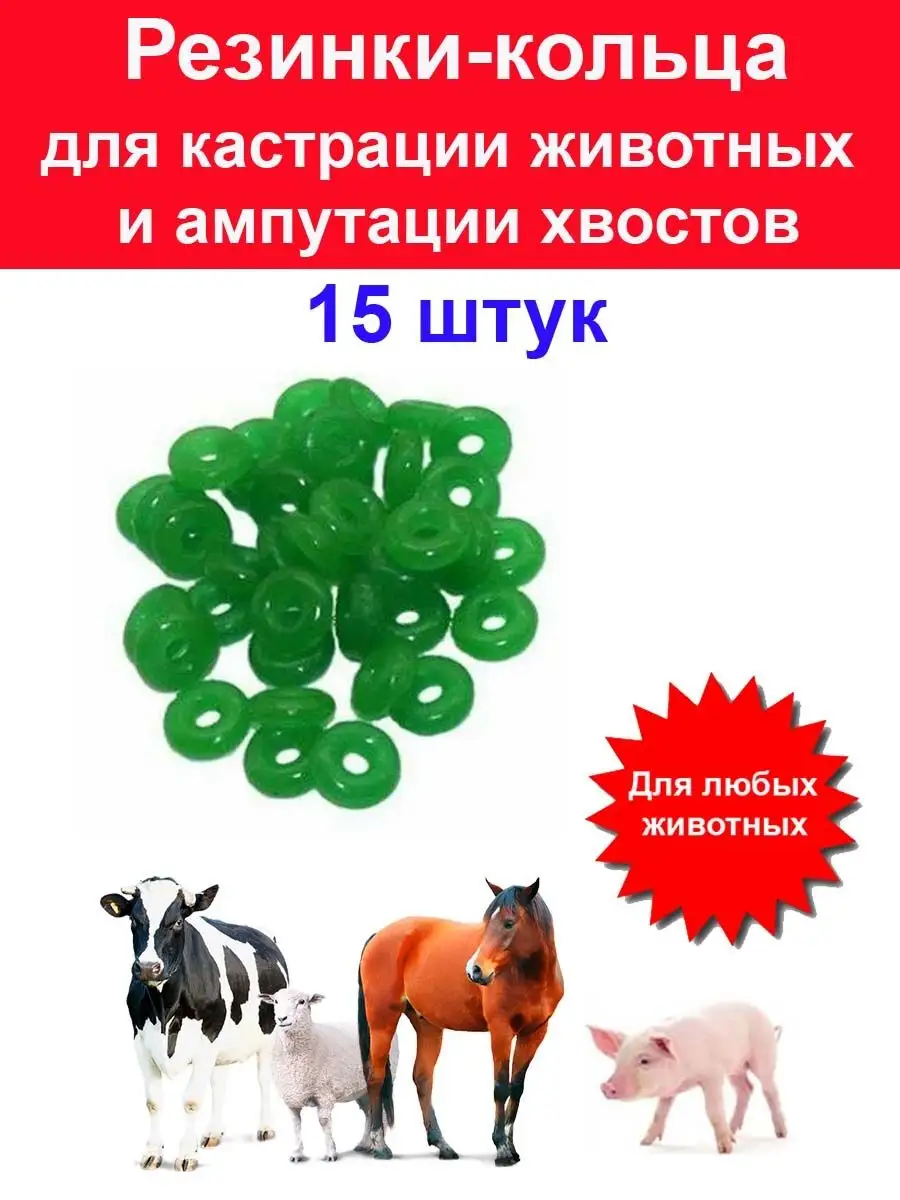 Кольца для кастрации животных резиновое кольцо - 15 шт Кастрация животных  157835766 купить за 395 ₽ в интернет-магазине Wildberries