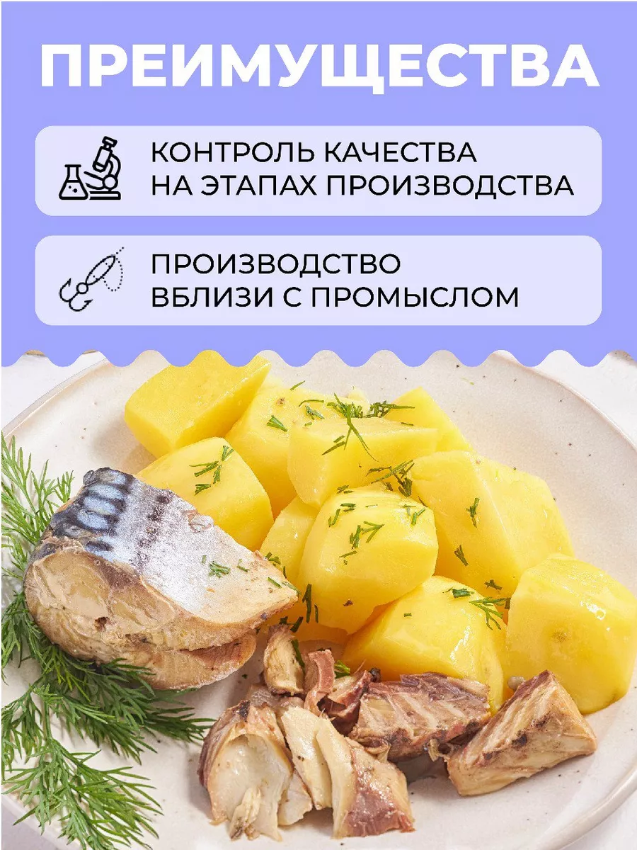 Скумбрия атлантическая в масле 250 гр - 6 шт БалтФлот 157920119 купить за  831 ₽ в интернет-магазине Wildberries