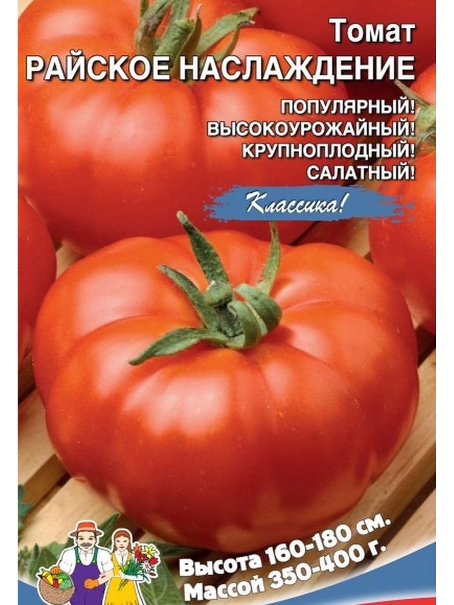 Сорт томатов райское наслаждение. Помидоры райское наслаждение. Томат наслаждение. Семена томат райское наслаждение. Помидоры сорт райское наслаждение.