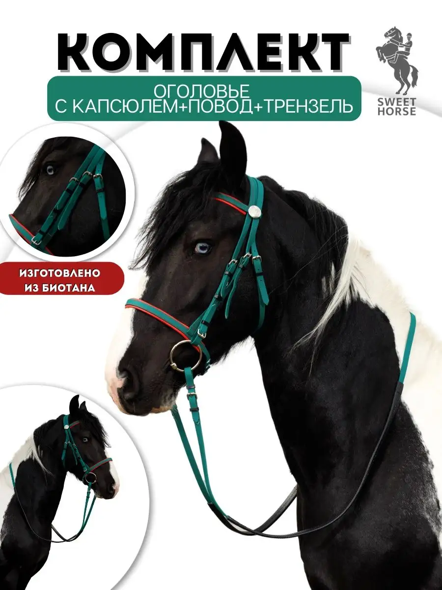 Сет- Оголовье с капсюлем+ Повод+ Трензель Sweethorse 157952215 купить за 4  190 ₽ в интернет-магазине Wildberries