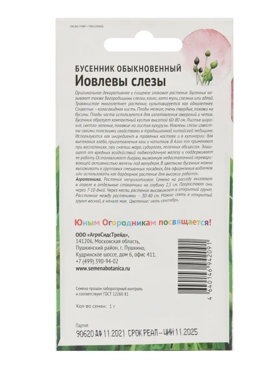 Семена Бусенник Иовлевы слезы Агросидстрейд 158075500 купить в  интернет-магазине Wildberries