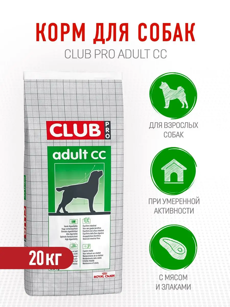 Royal best sale canin club