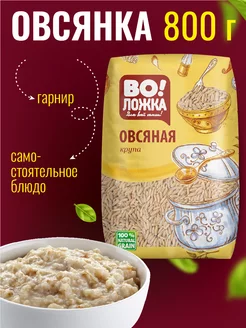 Овсяная крупа 800г овес Воложка 158100127 купить за 177 ₽ в интернет-магазине Wildberries