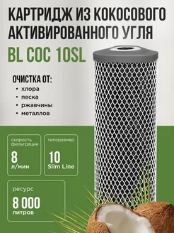 Картридж для воды из кокосового угля BL COC 10SL NASHFILTER 158153360 купить за 183 ₽ в интернет-магазине Wildberries