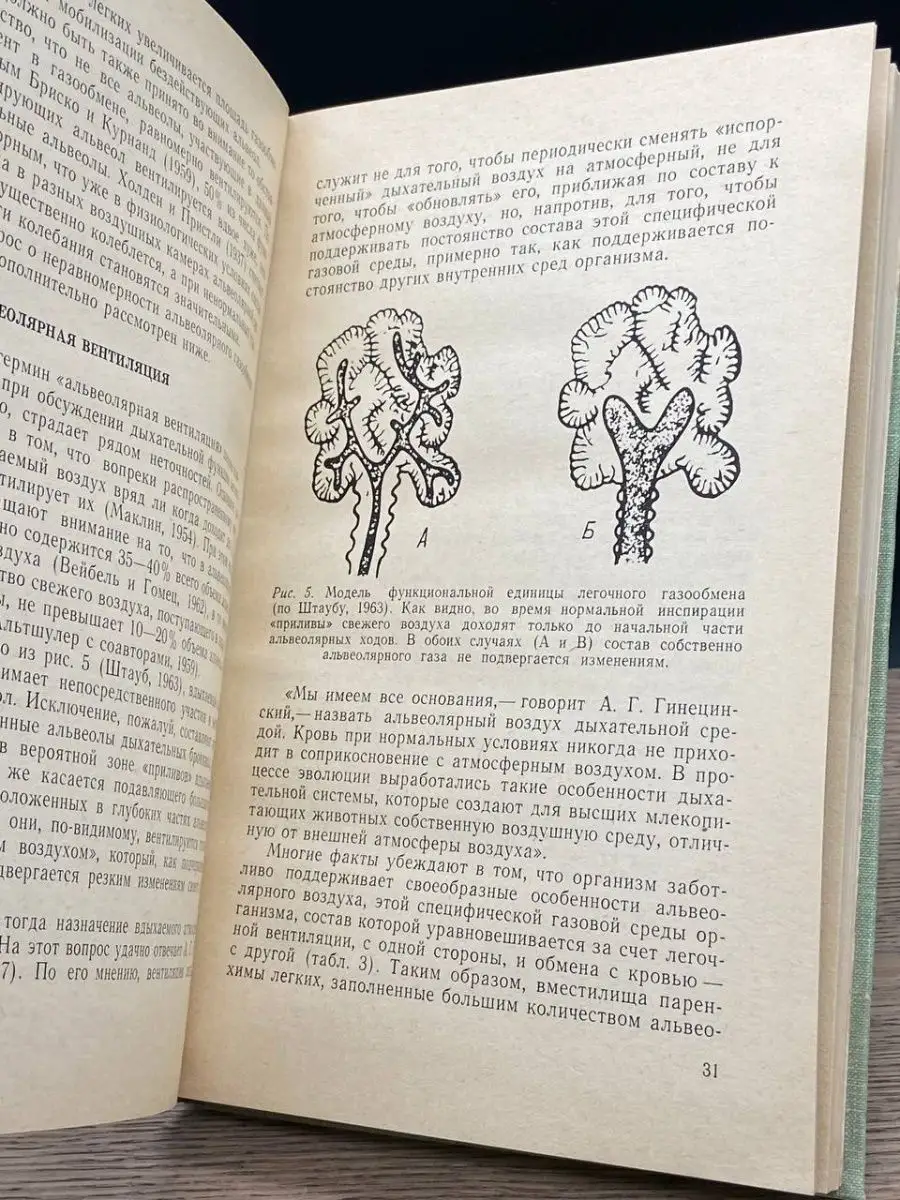 Человек в условиях среднегорья Казахстан 158183801 купить в  интернет-магазине Wildberries