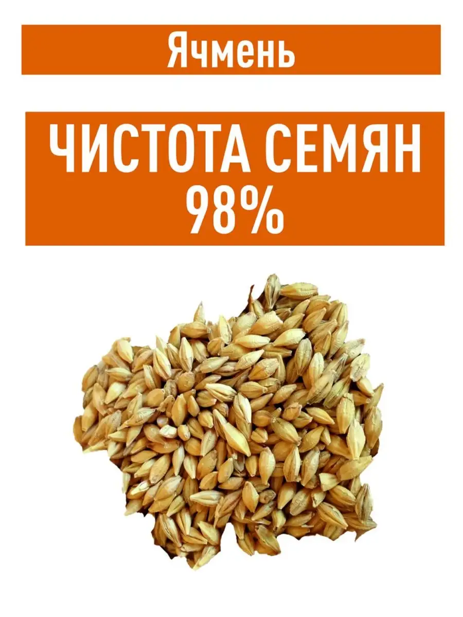 Ячмень не очищенный, 2 кг для проращивания Склад Полезных Продуктов  158205027 купить за 195 ₽ в интернет-магазине Wildberries