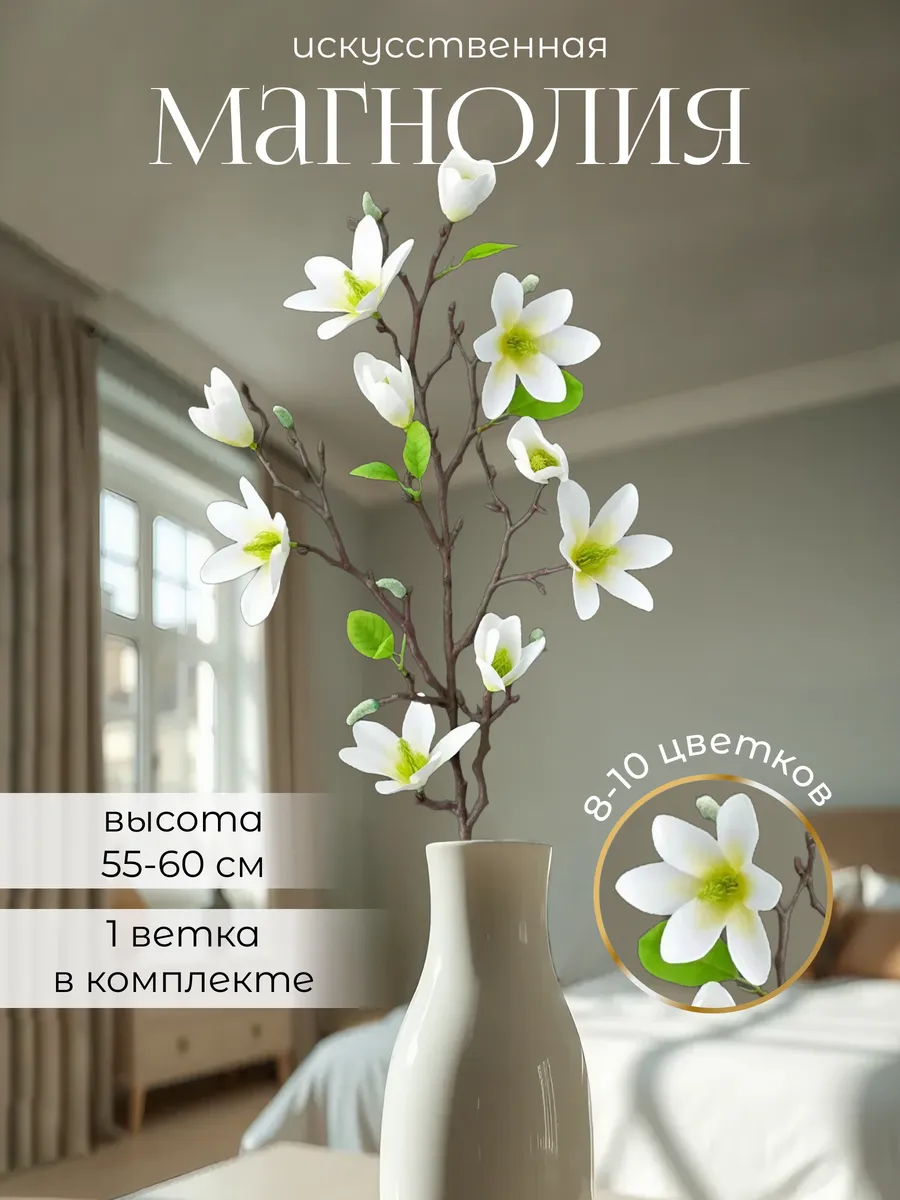 Магнолия гибридная (magnolia hybrida). Описание, фото, виды – каталог Greenmaster