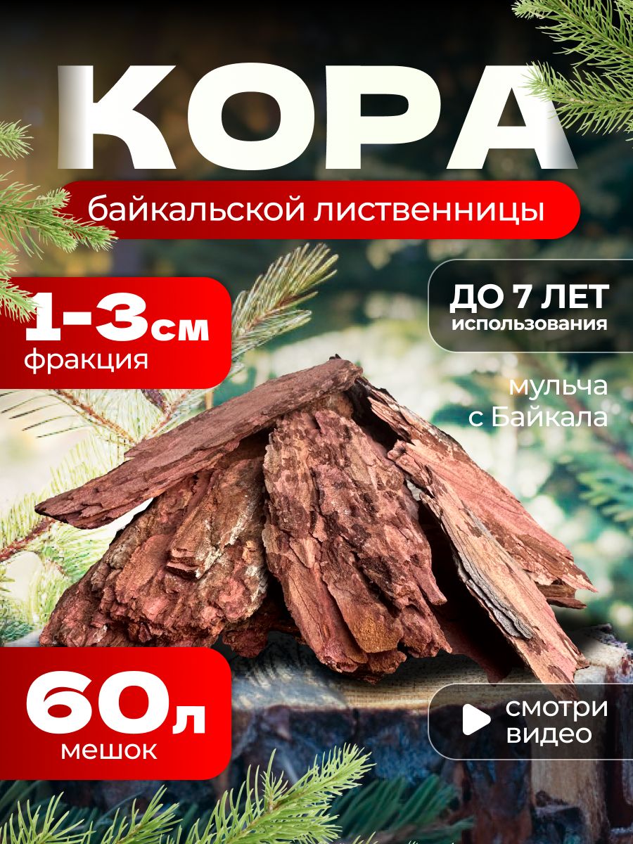 Кора лиственницы мульча Кора с Байкала 158319212 купить за 746 ₽ в  интернет-магазине Wildberries