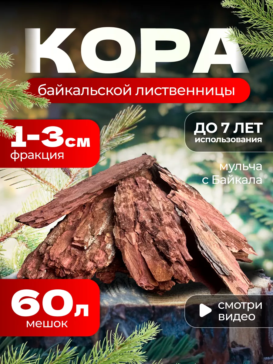 Кора лиственницы мульча Кора с Байкала 158319212 купить за 794 ₽ в  интернет-магазине Wildberries