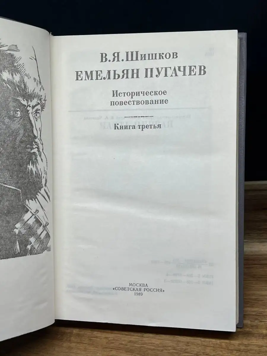 Е. Пугачев. Историческое повествование. Книга 3 Советская Россия 158326452  купить за 130 ₽ в интернет-магазине Wildberries