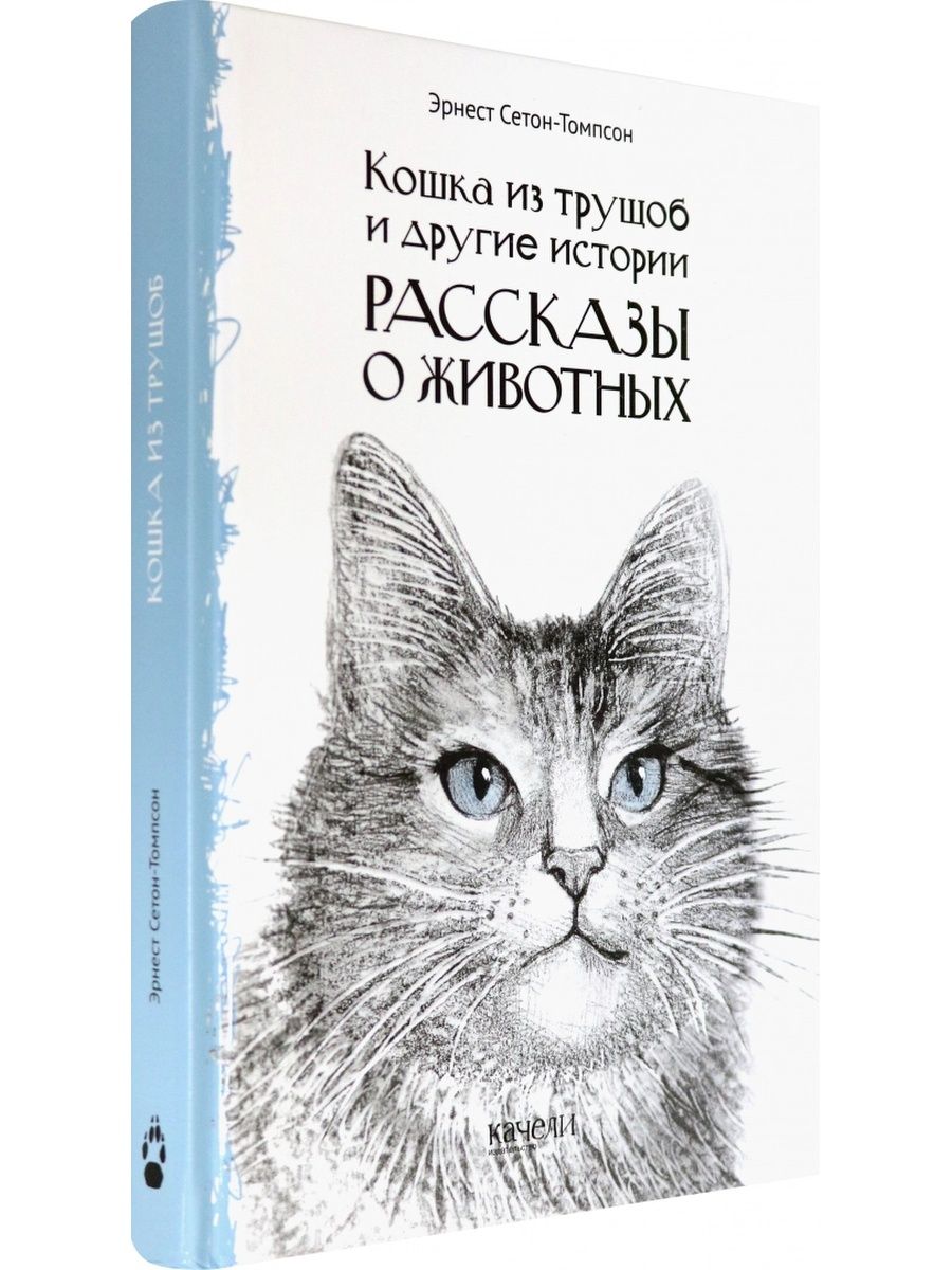 Сетон королевская аналостанка. Сетон Томпсон Королевская Аналостанка. Королевская Аналостанка порода. Королевская Аналостанка иллюстрации. Аналостанка Королевская рассказ.