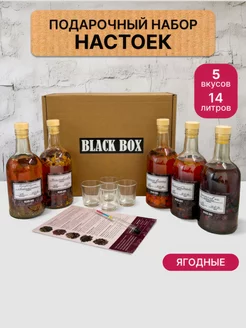 Подарочный набор для приготовления настоек BLACK BOX GIFT 158369723 купить за 1 647 ₽ в интернет-магазине Wildberries