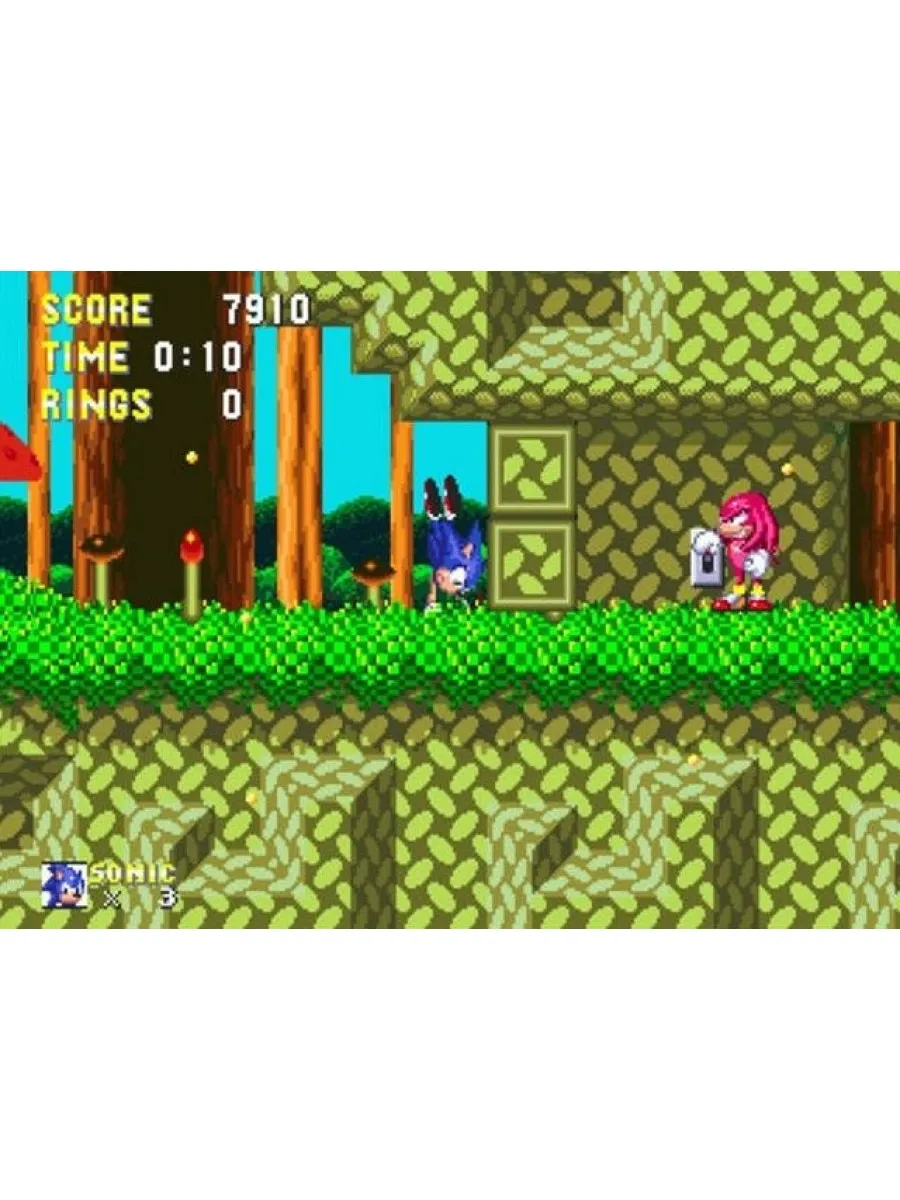 Sonic and Knuckles Соник 4 Русская Версия 16 bit Картридж Картридж Sega  158394639 купить за 856 ₽ в интернет-магазине Wildberries