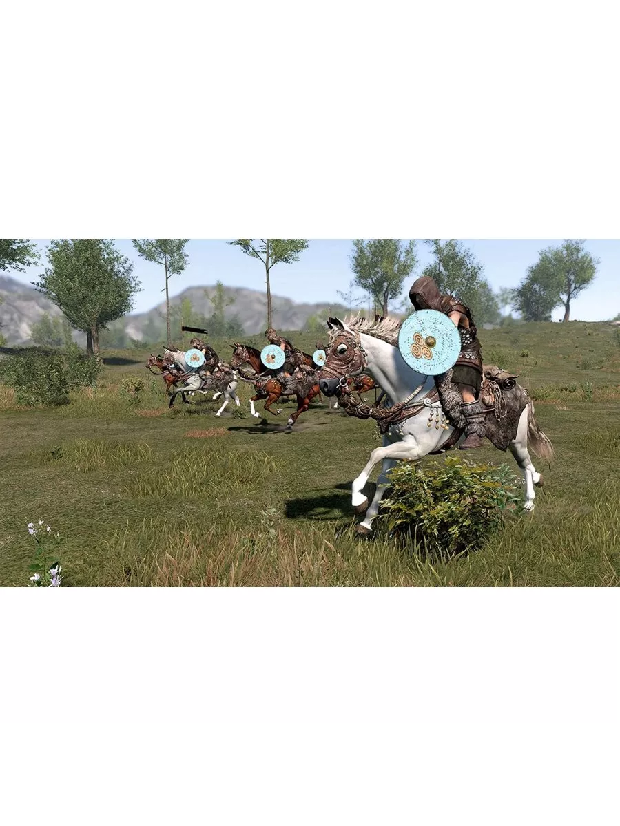 Mount and Blade II 2: Bannerlord Русская Версия PS4 PS... Игра PS5  158446857 купить за 3 106 ₽ в интернет-магазине Wildberries