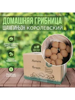 Грибница королевских шампиньонов набор вешенки Чудесный сад товары для сада и дома 158447935 купить за 317 ₽ в интернет-магазине Wildberries